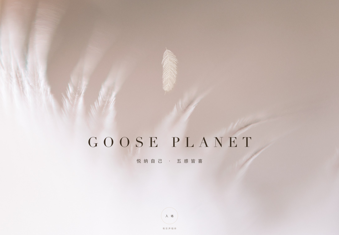 GOOSE PLANET产品官网真实首屏，羽毛作为品牌视觉线索